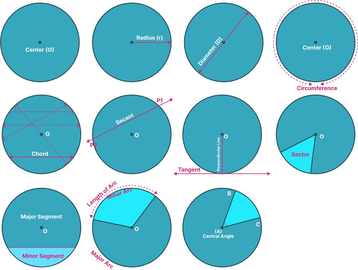 Parts of a circle